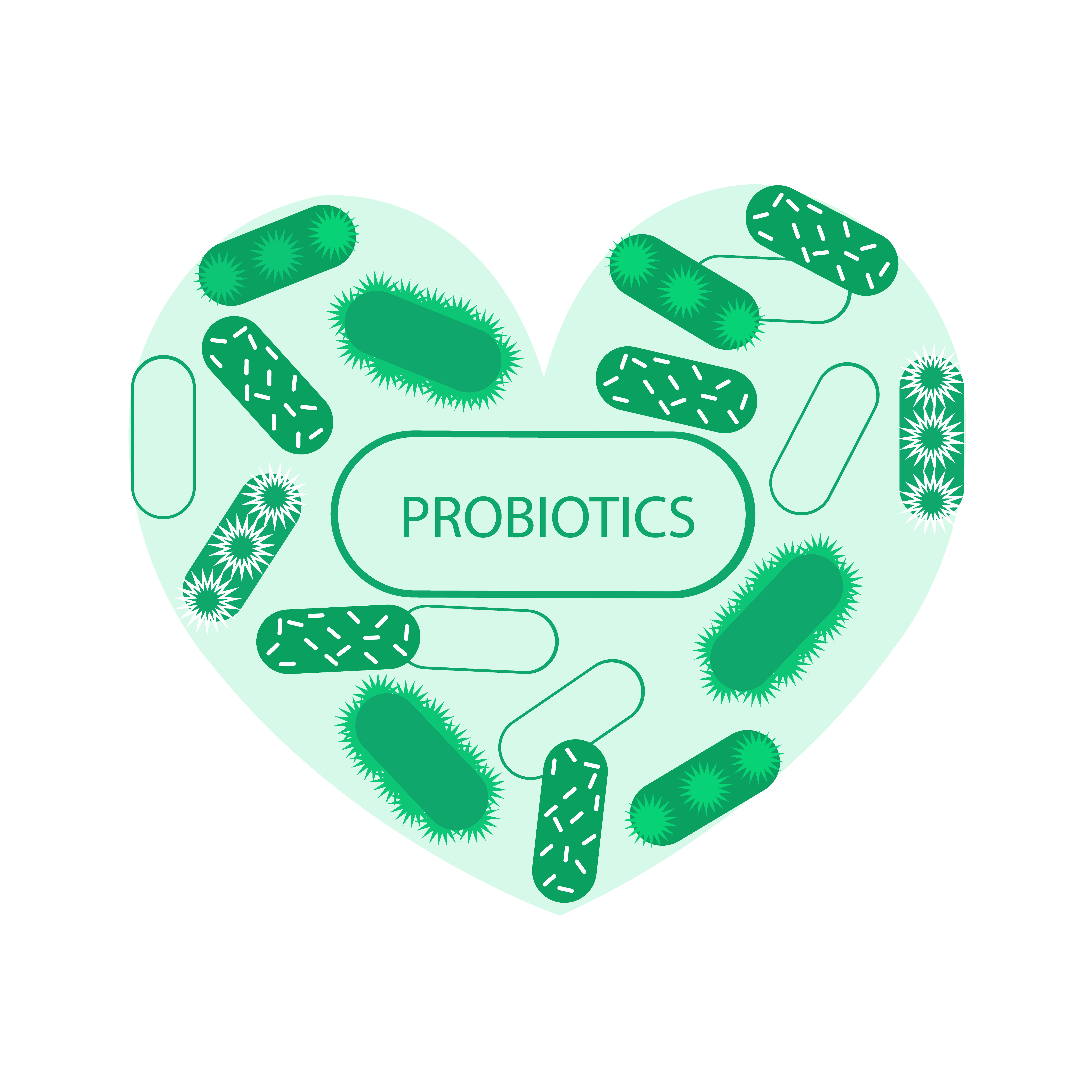 Made of Probiotic symbol heart and symbolic medical illustration of the intestinal bacterial flora