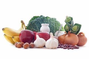 Probiotic foods diet